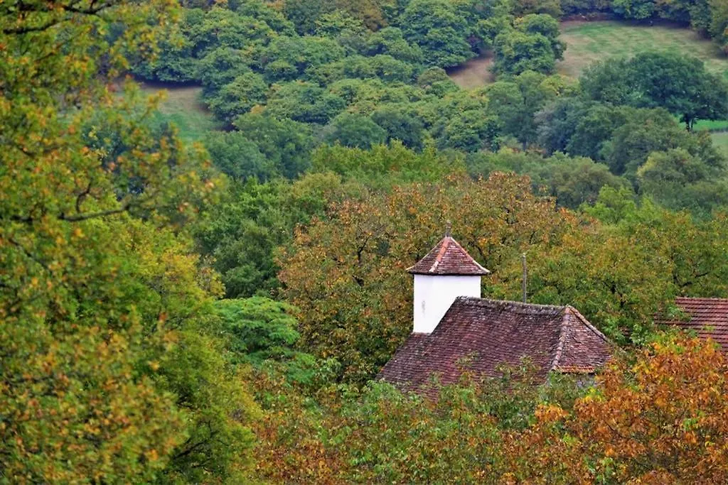 Gîte mosaïque Accueil rando, pêche, farniente Latouille-Lentillac Сasa de vacaciones